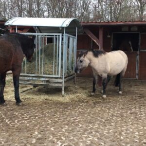 speedfloor-warto-wiedziec (4) speedfloor-warto-wiedziec (4)